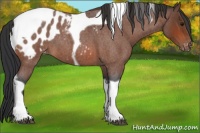 Horse Color:Bay Roan Tobiano Blanket
