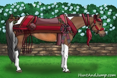 Horse Color:Bay Tobiano Rabicano