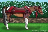 Horse Color:Bay Tobiano Rabicano