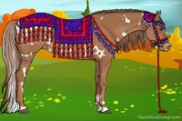 Horse Color:White Spotted Chestnut Appaloosa 