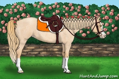 Horse Color:Gold Champagne Roan Splash Frame