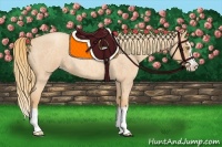 Horse Color:Gold Champagne Roan Splash Frame