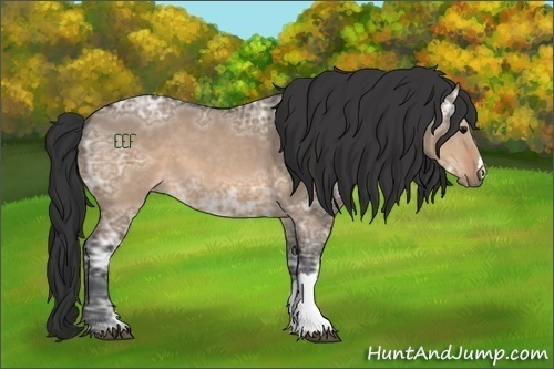 Horse Color:Brown Ice Dun