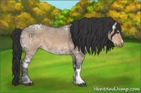 Horse Color:Brown Ice Dun