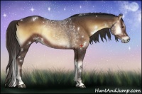 Horse Color:White Spotted Liver Red Onyx 