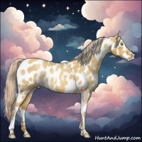 Horse Color:White Spotted Gold Cream Champagne Roan Appaloosa