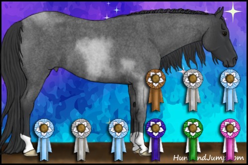 Horse Color:Blue Roan 