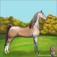 Horse Color:Buckskin Appaloosa