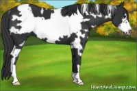 Horse Color:White Spotted Black Frame 