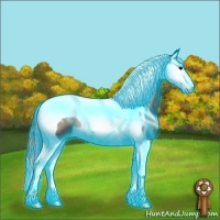 Horse Color:Thunderstruck Blue Onyx Splash Tobiano 