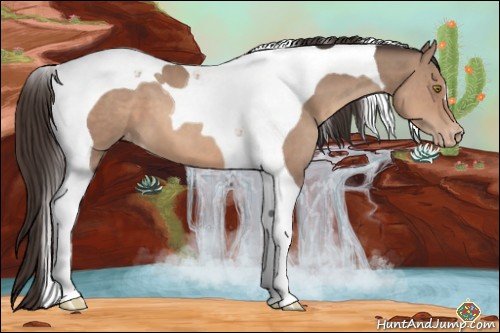 Horse Color:Sable Champagne Tobiano Varnish