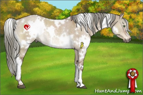 Horse Color:White Spotted Liver Red Dun Rabicano 