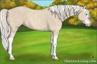 Horse Color:Cremello Splash  Brindle