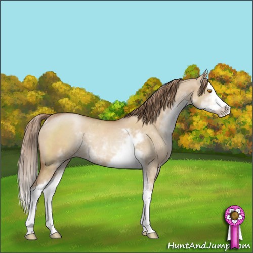 Horse Color:Brown Pearl Dun Sabino Splash Rabicano 
