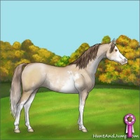 Horse Color:Brown Pearl Dun Sabino Splash Rabicano 
