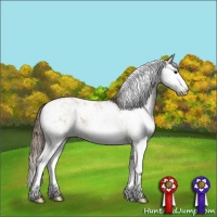 Horse Color:Grullo Pearl Sabino Splash Rabicano 