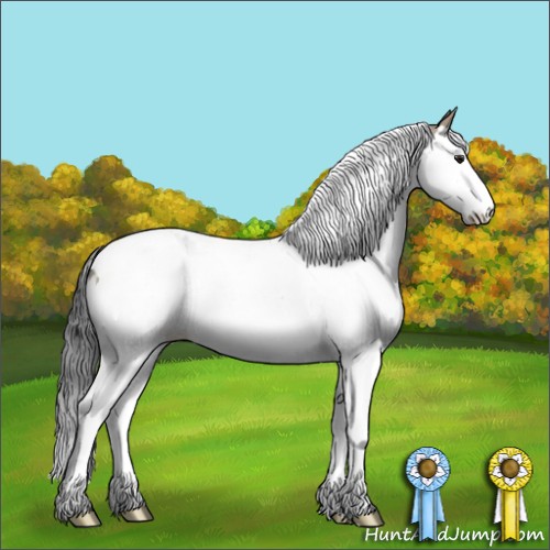 Horse Color:Brown Dun Sabino Splash Tobiano 