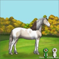 Horse Color:Grullo Pearl Sabino Splash Tobiano 