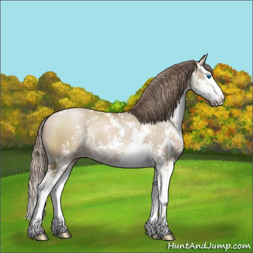 Horse Color:Grullo Pearl Sabino Splash