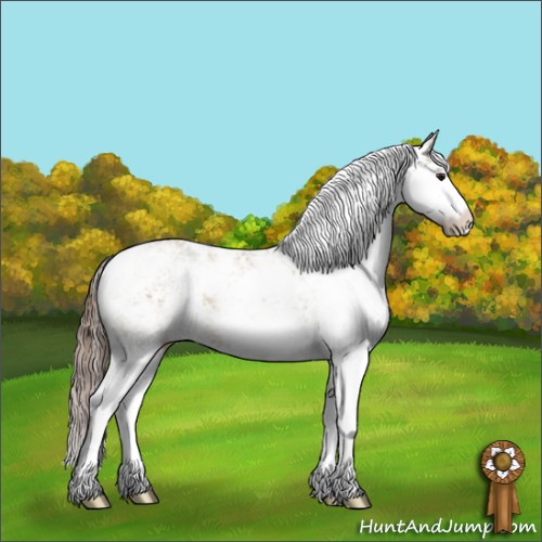 Horse Color:Grullo Pearl Sabino Rabicano 