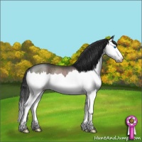 Horse Color:Brown Sabino Splash Rabicano 