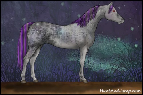Horse Color:ERROR: UNKNOWN ANOMALY