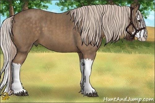 Horse Color:Chocolate Palomino Splash  Brindle