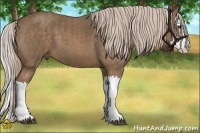 Horse Color:Chocolate Palomino Splash Brindle