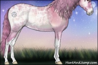 Horse Color:Watercolor Palomino Ice Onyx 