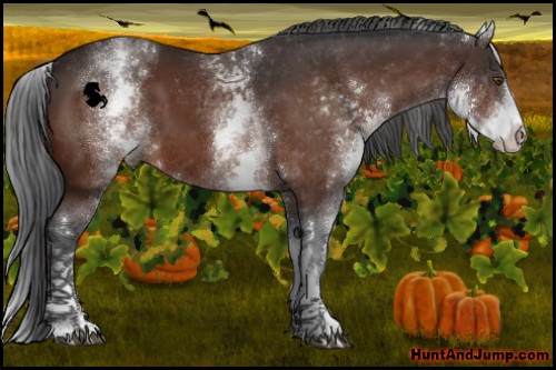 Horse Color:White Spotted Brown 