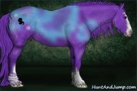 Horse Color:Watercolor Black Sabino 