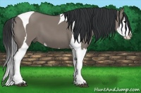 Horse Color:Grullo Splash Tobiano