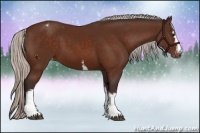 Horse Color:White Spotted Silver Brown Varnish 