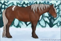 Horse Color:Silver Brown Appaloosa 