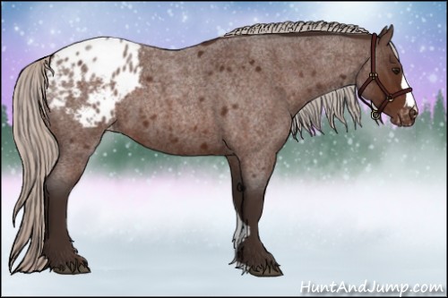 Horse Color:Silver Brown Roan Blanket 