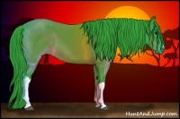 Horse Color:Watercolor Brown 