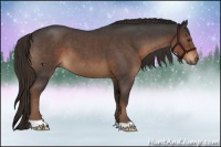 Horse Color:Liver Red Roan 