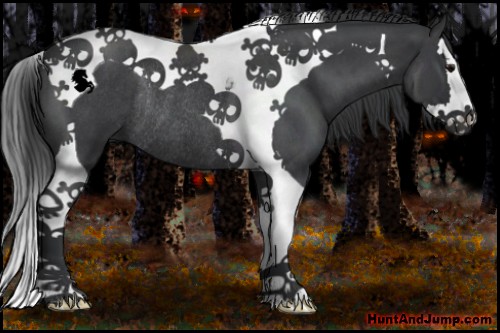 Horse Color:Blue Roan Splash Tobiano Rabicano
