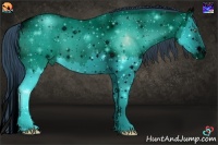 Horse Color:ERROR: UNKNOWN ANOMALY Brindle