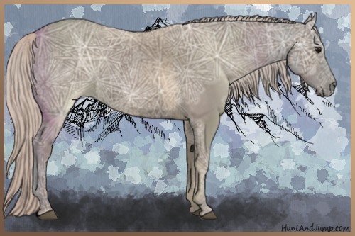 Horse Color:Silver Grullo Ice 