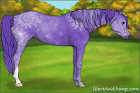 Horse Color:Gray Watercolor Smoky Black
