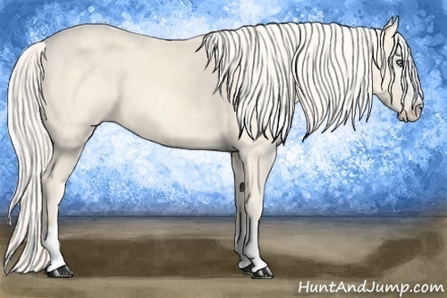 Horse Color:Cremello Splash Brindle