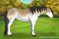 Horse Color:White Spotted Buckskin Dun