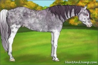 Horse Color:Brown Chinchilla Ice Pearl Splash 