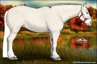 Horse Color:Cremello Splash  Brindle