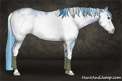 Horse Color:Watercolor White Spotted Brown Chinchilla Ice Onyx Sabino Frame 