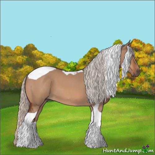 Horse Color:Silver Brown Dun Sabino Tobiano