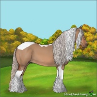 Horse Color:Silver Brown Dun Sabino Tobiano