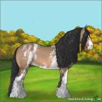 Horse Color:White Spotted Brown Dun Sabino