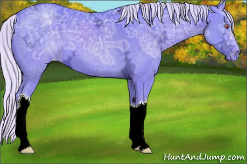 Horse Color:Watercolor Silver Black Chinchilla Ice Appaloosa 